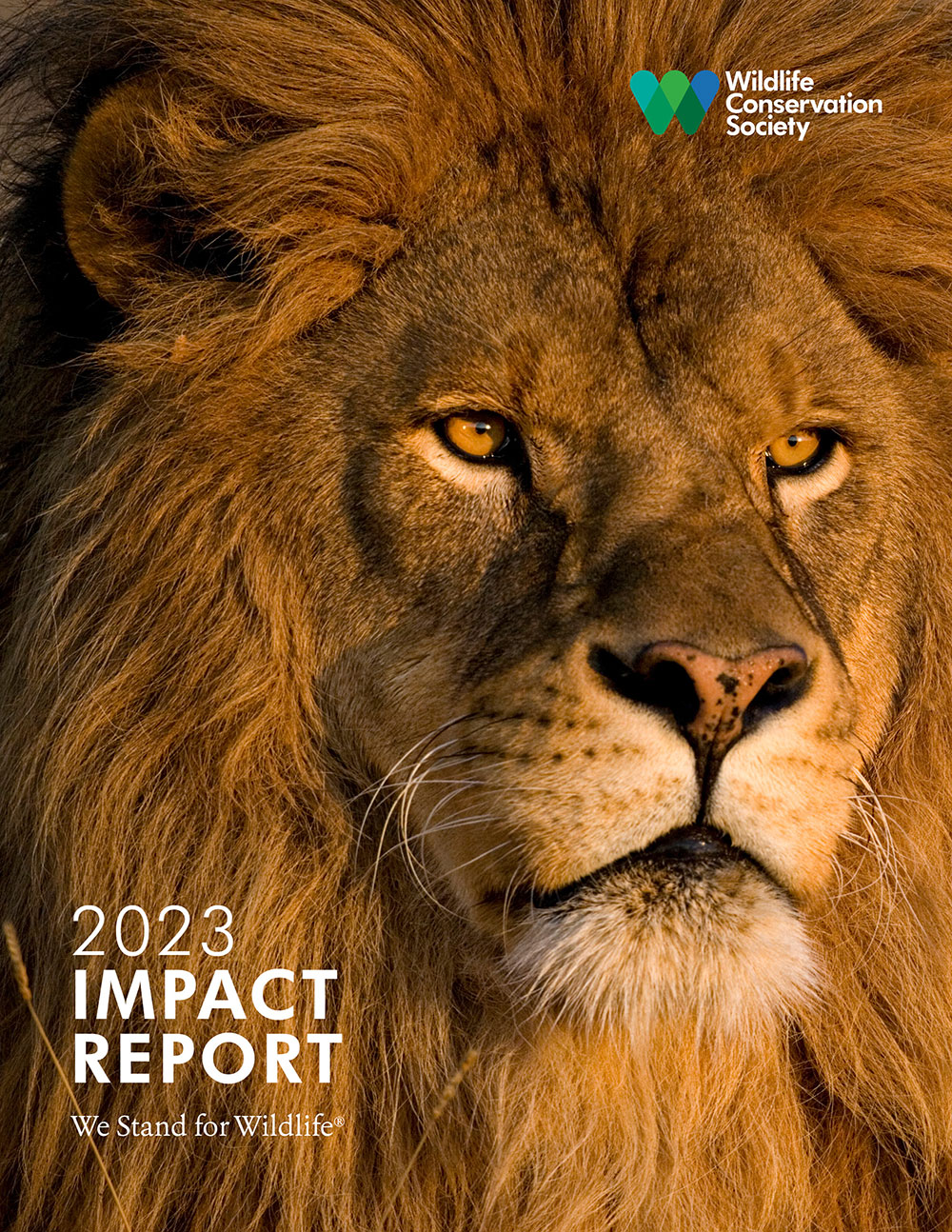 WCS Impact Report 2023